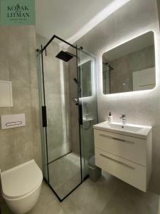 a bathroom with a shower and a toilet and a sink at Apartmán KOZAK LITMAN in Litmanová