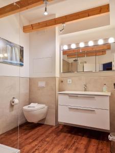a bathroom with a toilet and a sink and a mirror at Ferienwohnung Lorenz in Sassnitz +1 photo