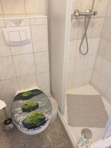a small bathroom with a toilet with a shower at Ferienwohnungen Seestraße in Sassnitz