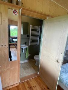 a bathroom with a toilet and a sink at Chalet panoramique et moderne tout confort in Saizy +22 photos