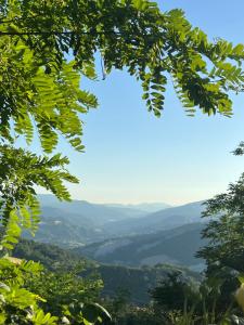 a view of a valley through the trees at La Rock House BnB in Mercato Saraceno +52 photos