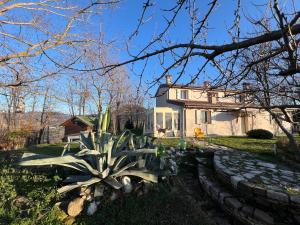 a house with a pineapple plant in front of it at La Rock House BnB in Mercato Saraceno