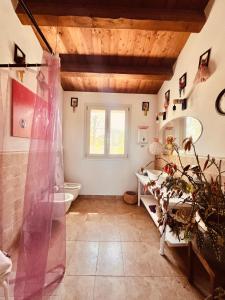 a bathroom with a shower and a sink at La Rock House BnB in Mercato Saraceno