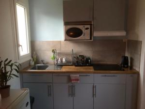 a kitchen with a sink and a microwave at Maisonnette rurale de charme in Plessis-Saint-Benoist +25 photos
