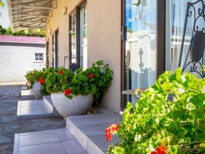 a row of flower pots on the side of a building at Hazeldene Accommodation in Colesberg