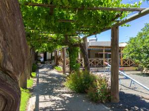 a walkway with trees and flowers in a yard at Hazeldene Accommodation in Colesberg