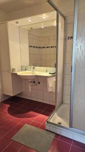 a bathroom with a sink and a shower at Marienburg Castle in Wikon