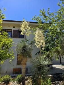 a palm tree in front of a building at Pizzica Agriturismo in Metaponto