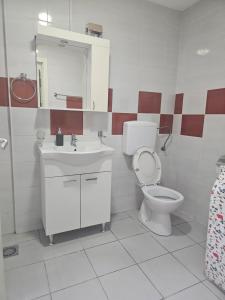 a bathroom with a toilet and a sink and a mirror at Apartmani Borko 3-3 in Loznica +4 photos