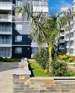 a palm tree in front of a building at Jkia Airport 24 Hours Transit studio next 67hotel in Nairobi
