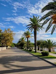 a street with palm trees and a blue sky at Sarah Central City Apartment-Bar in Bar