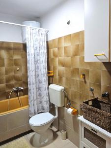 a bathroom with a toilet and a shower at Apartmani Banić Apartman Studio 3 in Postira +9 photos