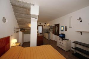 a large room with a bed and a kitchen at Agriturismofaucci in Campo nell'Elba
