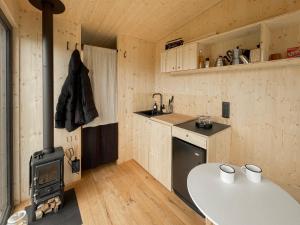 a kitchen with a stove and a table in a room at Cabin stay with optional Donkey Picnic Experience in Hallau