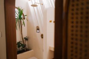 a bathroom with a shower with a plant in it at Luana Lombok in Selong Belanak