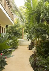 a garden with palm trees and a walkway at Angelique's Boutique Spa & Suites in La Unión