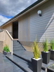 a house with a wooden deck with potted plants at Ritausmas Krasts in Plekšņi