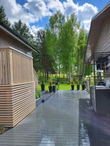 a patio of a house with trees in the background at Ritausmas Krasts in Plekšņi