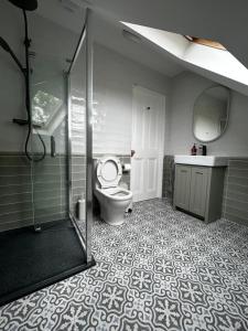 a bathroom with a toilet and a glass shower at Teach na Radharc in Raheen