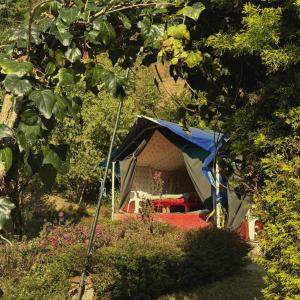 a tent is set up in a garden at Forest Stay - by TripInterval in Nainital