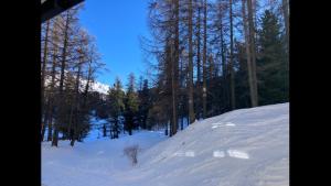 a snowy hill with trees in the background at Studio pied de piste Pelvoux 2 in Vars +1 photo