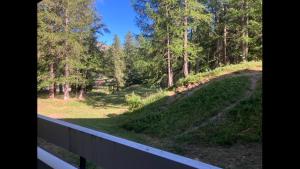 a view of a yard from a porch with trees at Studio pied de piste Pelvoux 2 in Vars