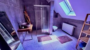 a bathroom with a shower and a toilet at Whirlpool Kamin Sauna Herthasee in Eppenrod +24 photos
