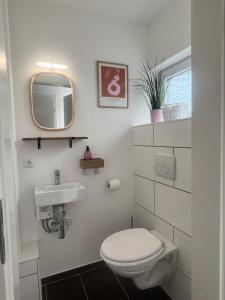 a bathroom with a toilet and a sink and a mirror at Ferienwohnung M2 in Husby +19 photos
