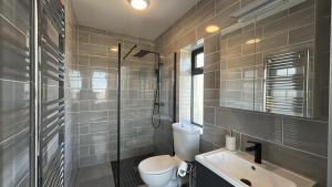 a bathroom with a toilet and a sink and a shower at Calla Retreat in Roundstone