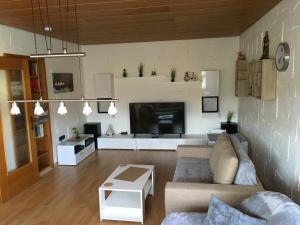 ein Wohnzimmer mit Sofa und Fernseher in der Unterkunft FeWo Eberau in Ebrach