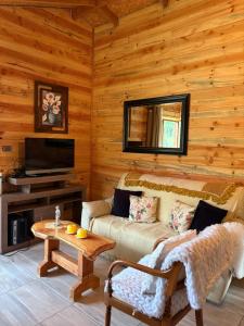 a living room with a couch and a tv at Parcela Peumayen Casa 4 in Pucura