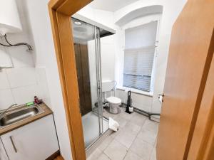a bathroom with a shower and a sink and a toilet at BaB Hotels and Apartments Apolo 3 in Chemnitz +16 photos