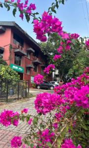 a bunch of pink flowers in front of a building at Amazinn Hotel in Lonavala