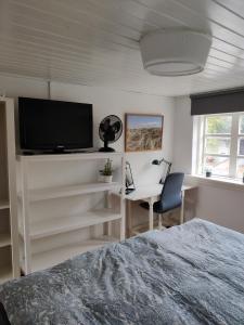 a bedroom with a bed and a desk and a tv at Like home Holiday House 9 A in Varde