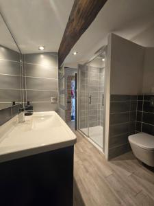 a bathroom with a sink and a toilet and a shower at Cocon des Arènes Nîmes Centre 18 couchages in Nîmes +22 photos
