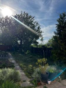 a beam of light in a garden with plants at Útulný dom blízko Košíc in Sokoľany