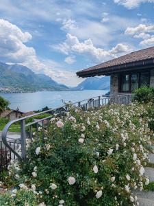 a garden of roses in front of a house with a lake at ALBA e TRAMONTO Appartamenti vista lago in Bellagio