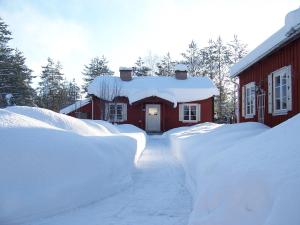 Nya Skogsgården Hostel durante l'inverno