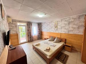 a bedroom with a bed and a tv in it at Микрон in Zatoka