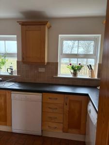a kitchen with a black counter top and two windows at Ashmore Mews in Galway +2 photos