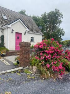 a white house with a pink door and pink flowers at Ashmore Mews in Galway
