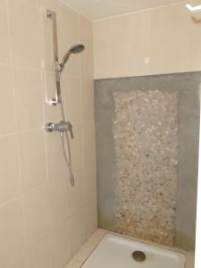 a shower stall in a bathroom with a toilet at huisje Kraaiberg in Heuvelland