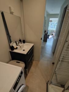 a bathroom with a sink and a mirror and a toilet at Charmant T2 in Embrun +13 photos