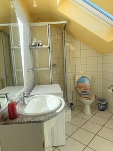 a bathroom with a sink and a toilet at Ferienhaus Jamshidi in Waren