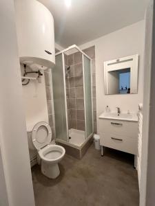 a bathroom with a toilet and a shower and a sink at La Parenthèse Calme in Tours +12 photos