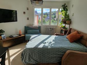 a bedroom with a bed and a couch and a tv at Charmant T2 in Embrun