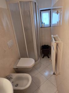 a bathroom with a shower and a toilet and a sink at VeronaVera Porta Palio Panoramic Loft in Verona