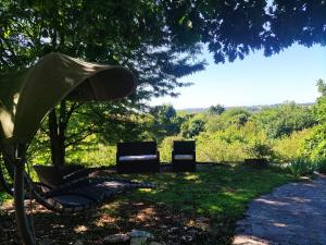 two chairs sitting in the grass under a tree at Villa Maddalena Brianza in Lentate sul Seveso