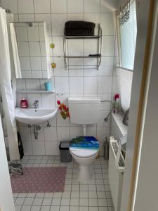 a small bathroom with a toilet and a sink at Vakantiewoning MaRa in Neuenhaus +20 photos