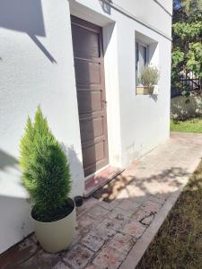a plant in a pot in front of a door at 866 Apart in San Fernando del Valle de Catamarca